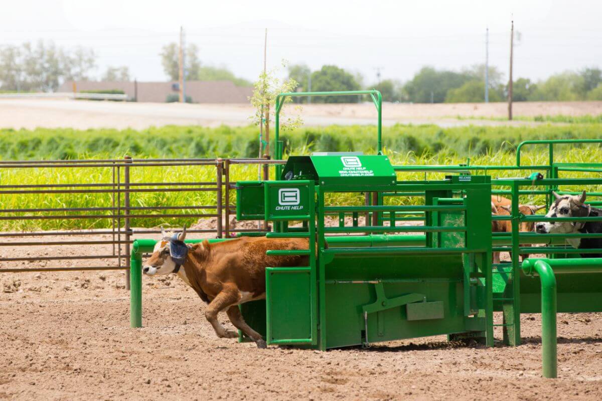 No Power? No Problem – Chute Help Fully Automatic Roping Chute