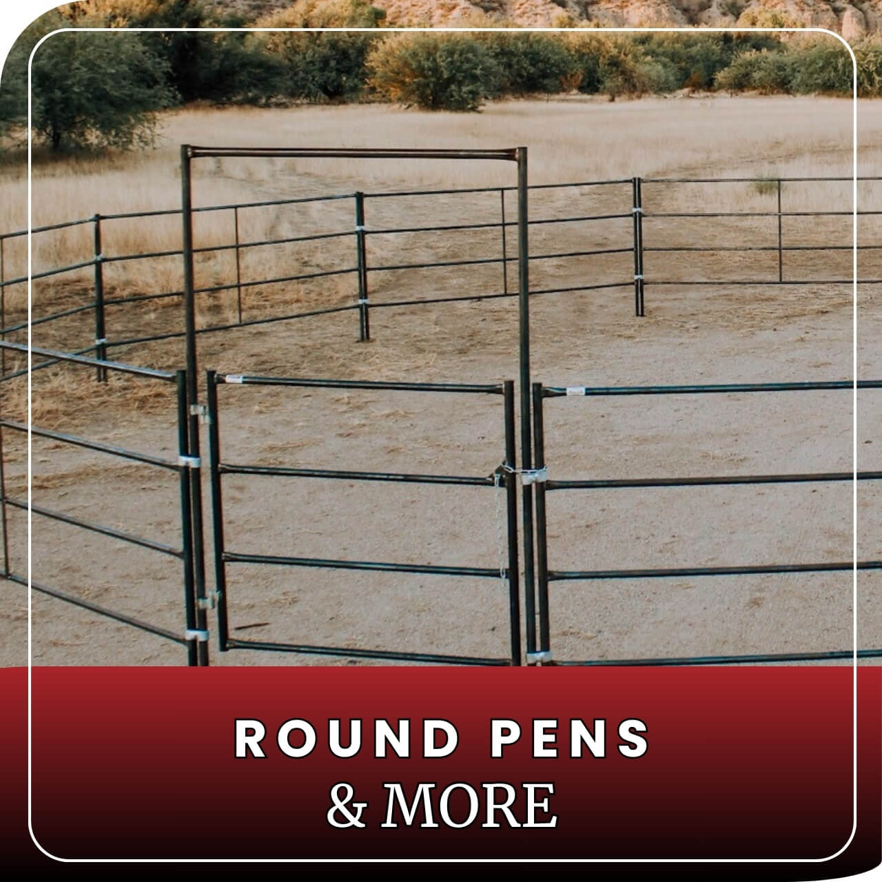 4 rail standard horse panels round pen