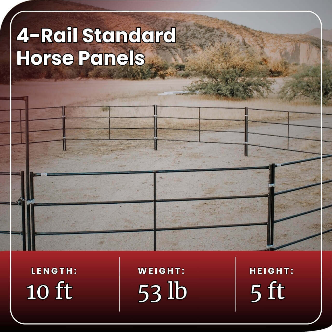 4 rail standard horse panels stats