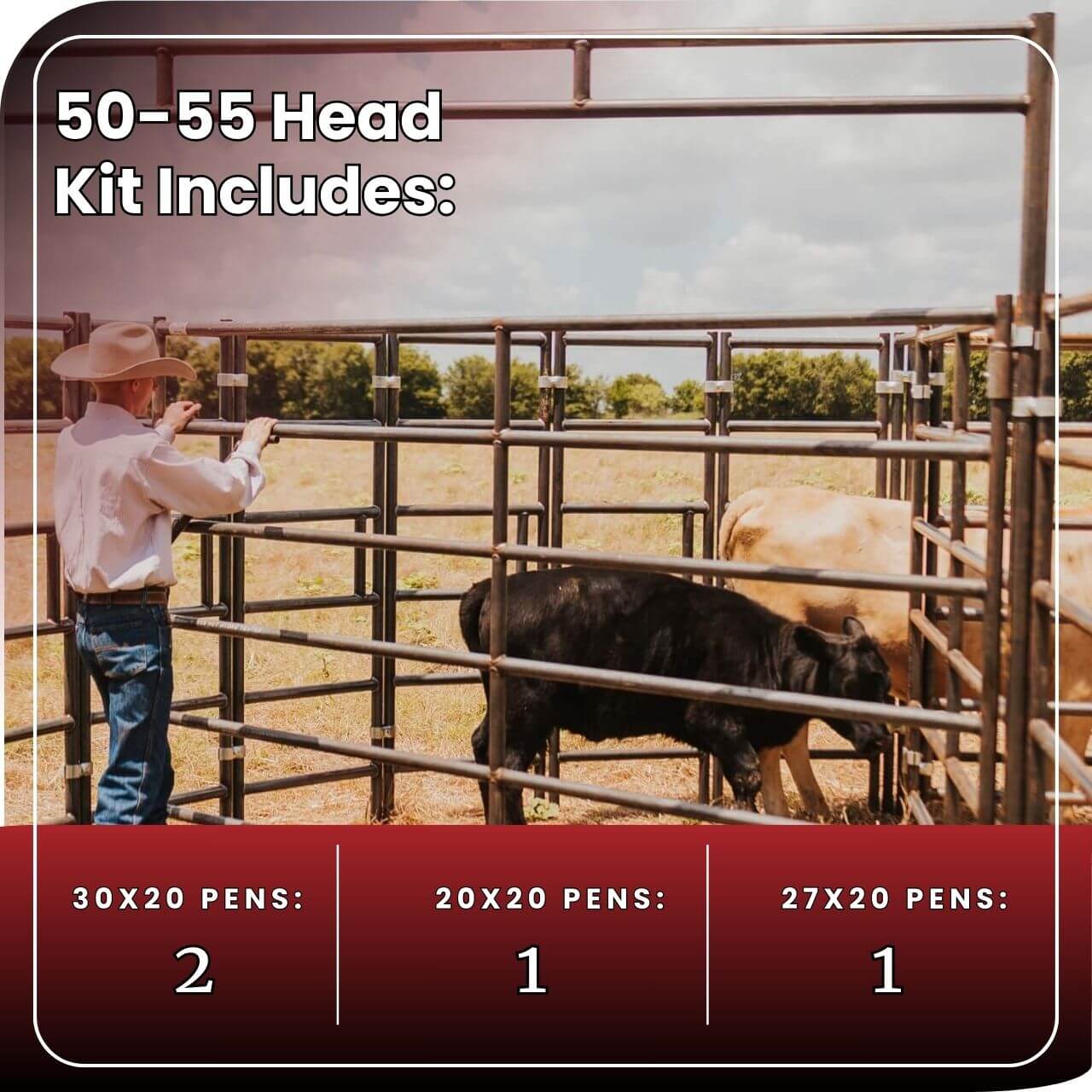 Cattle Working System - (A) 50-55 Head