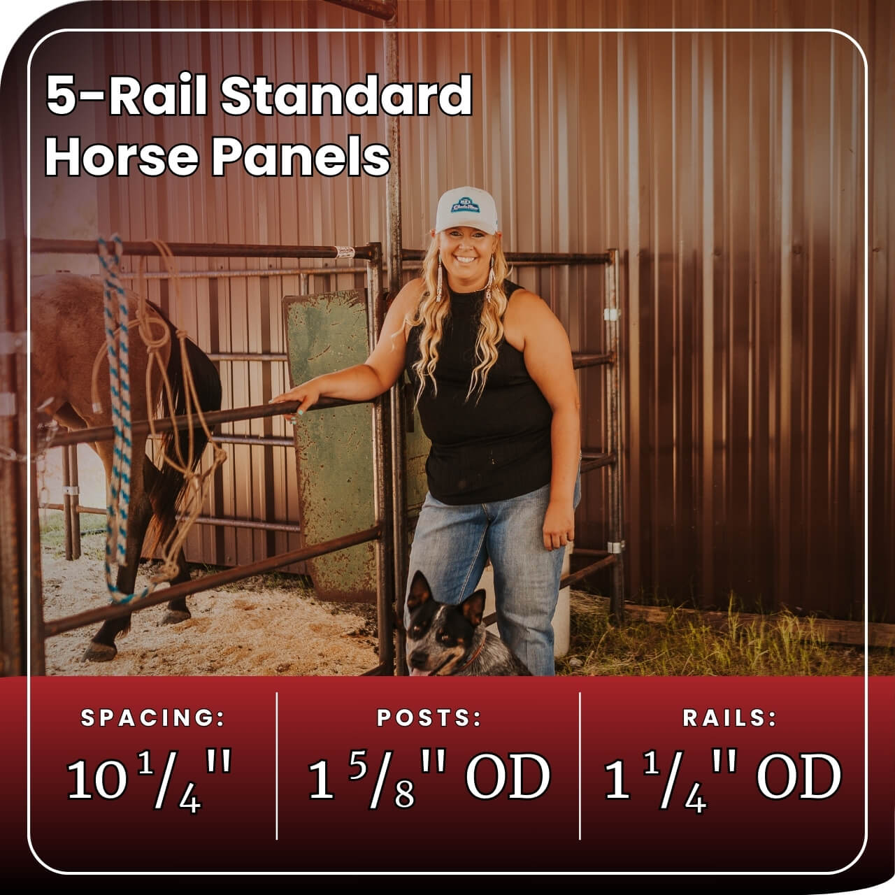 5 rail standard horse panels