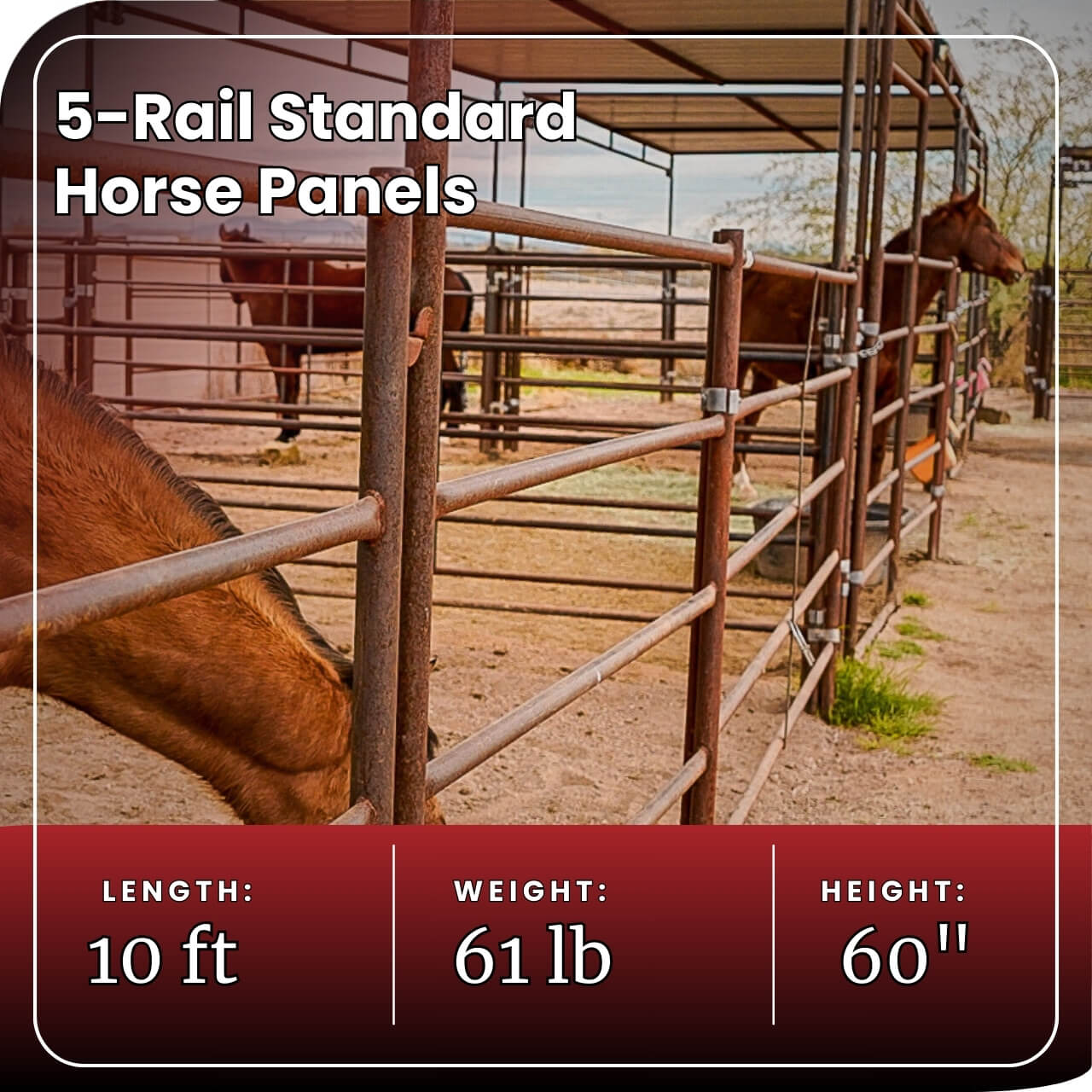 5 rail standard horse panel stats