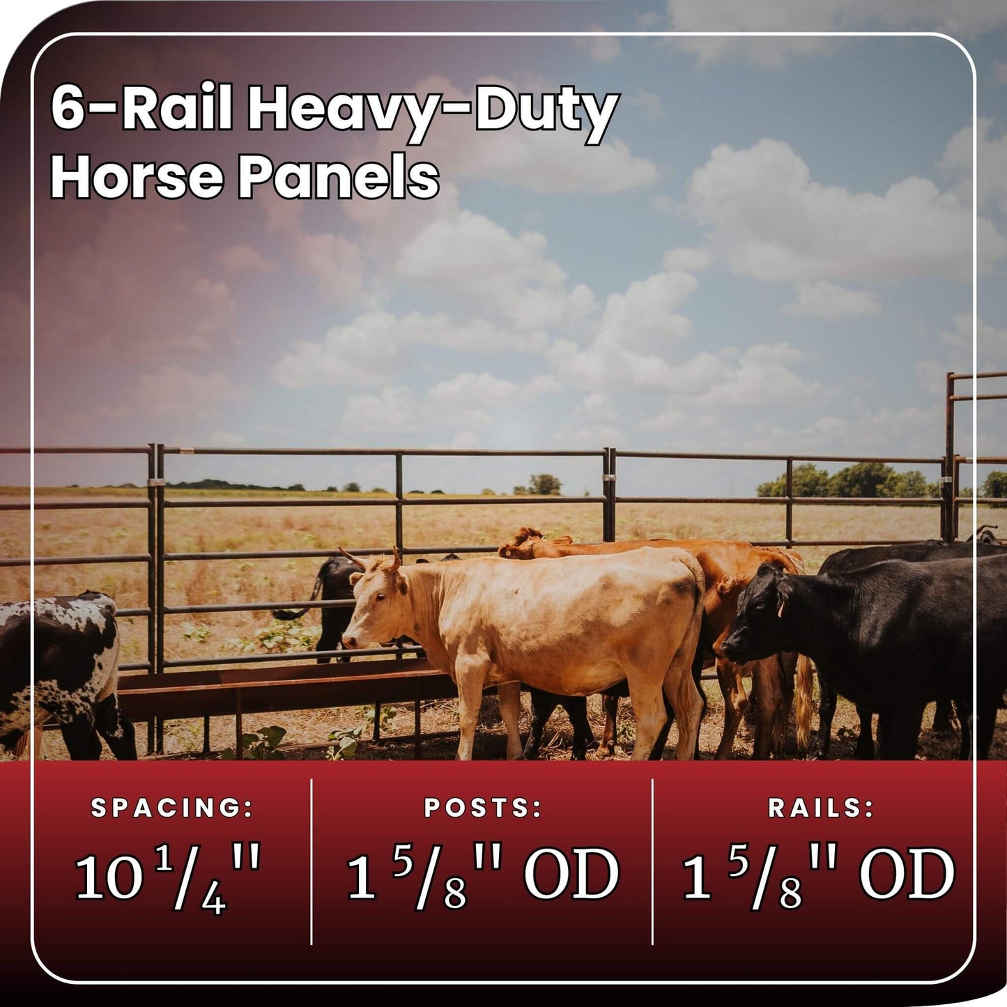 6-rail heavy-duty horse panels