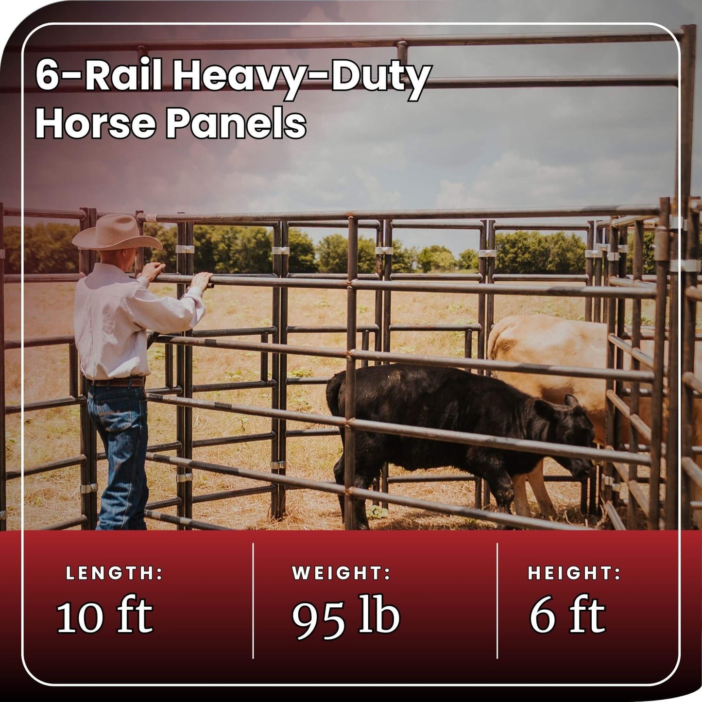 6-rail heavy-duty horse panels