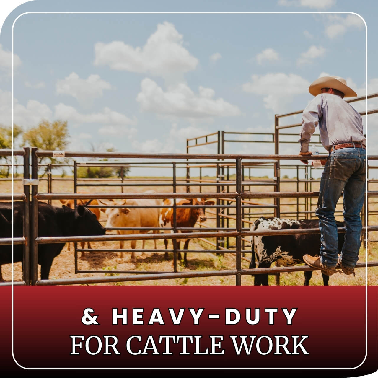 6 rail heavy duty horse panels