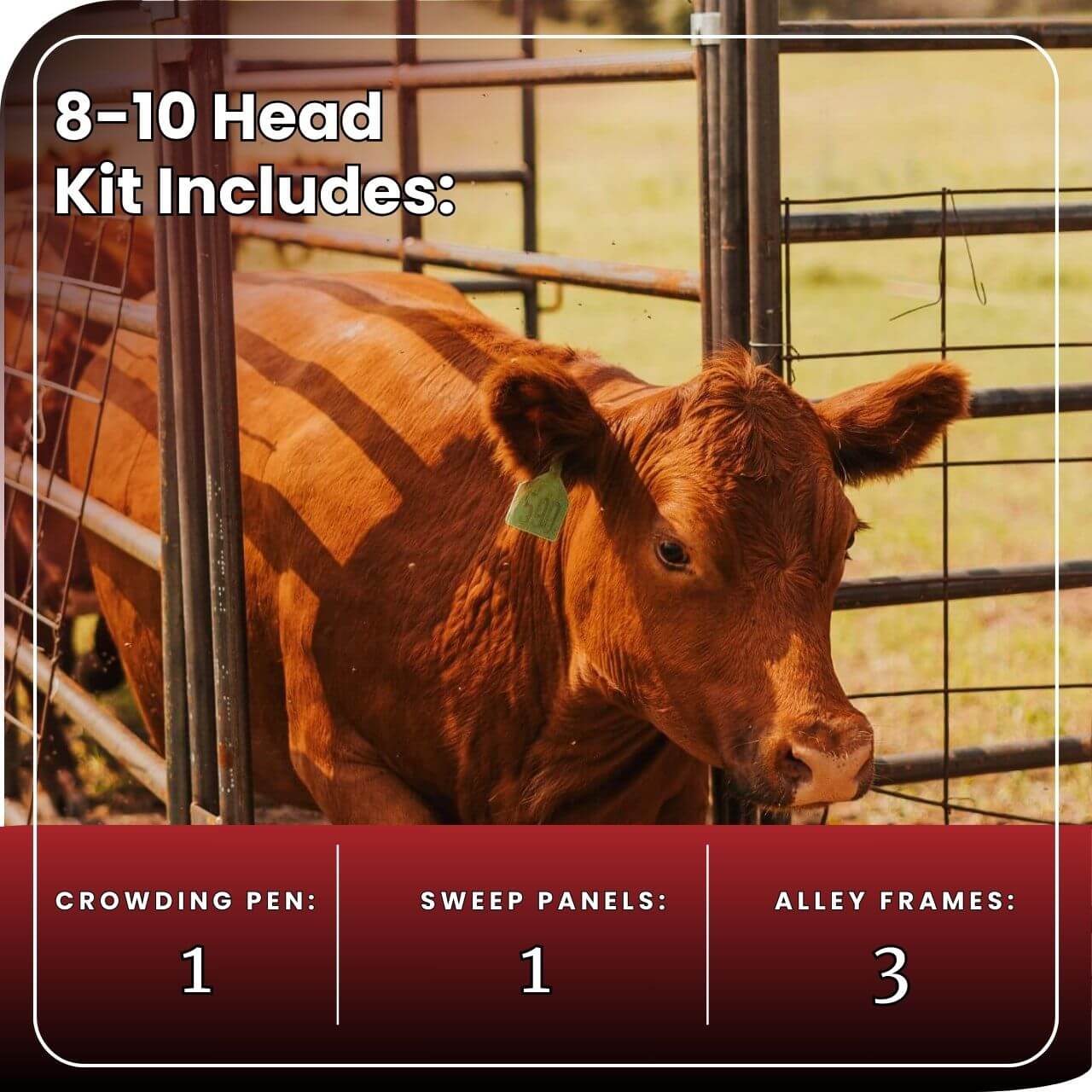 Cattle Working System - (A) 8-10 Head