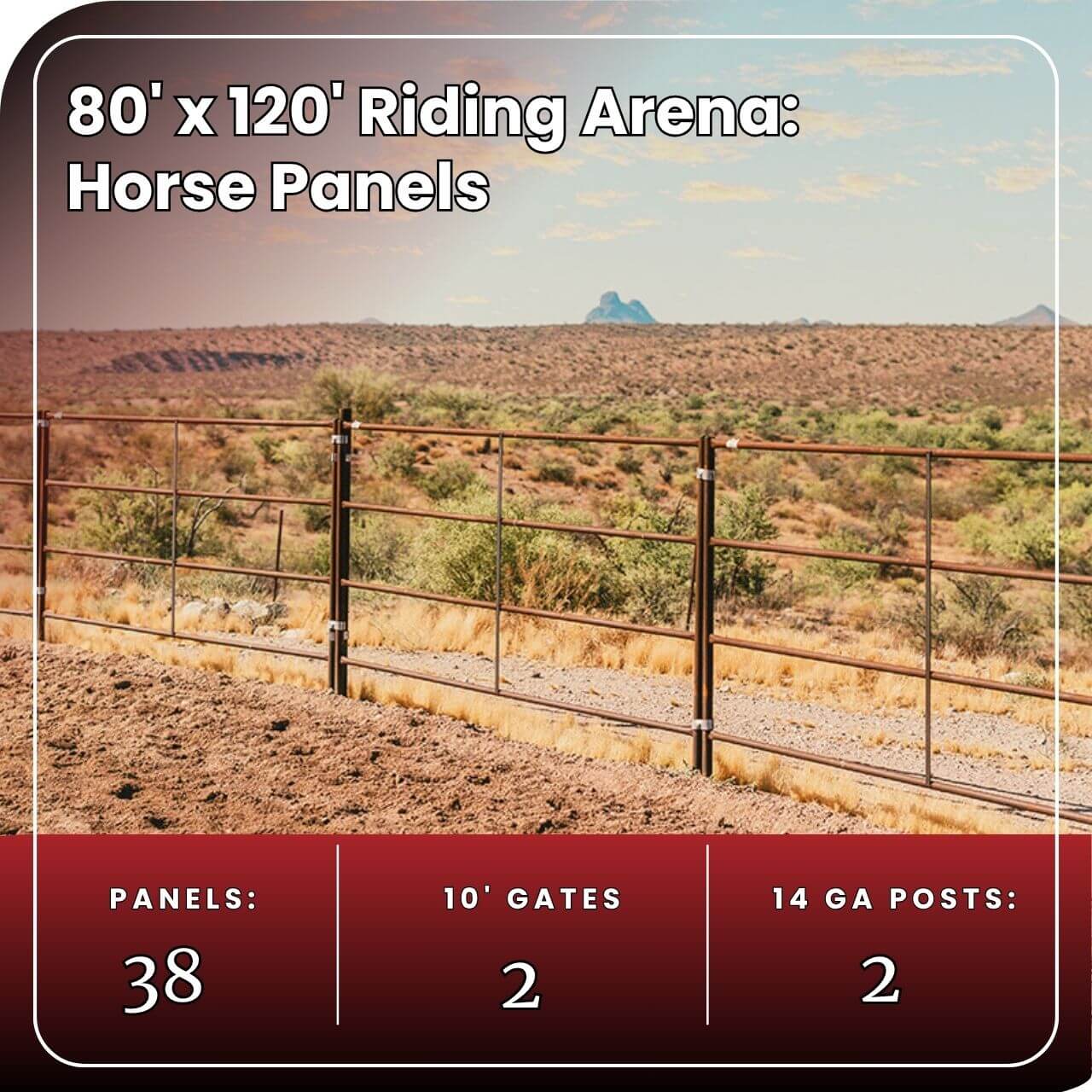 Riding Arena 80x120 - Horse Panel