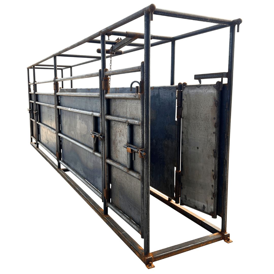metal cattle chute livestock handling equipment