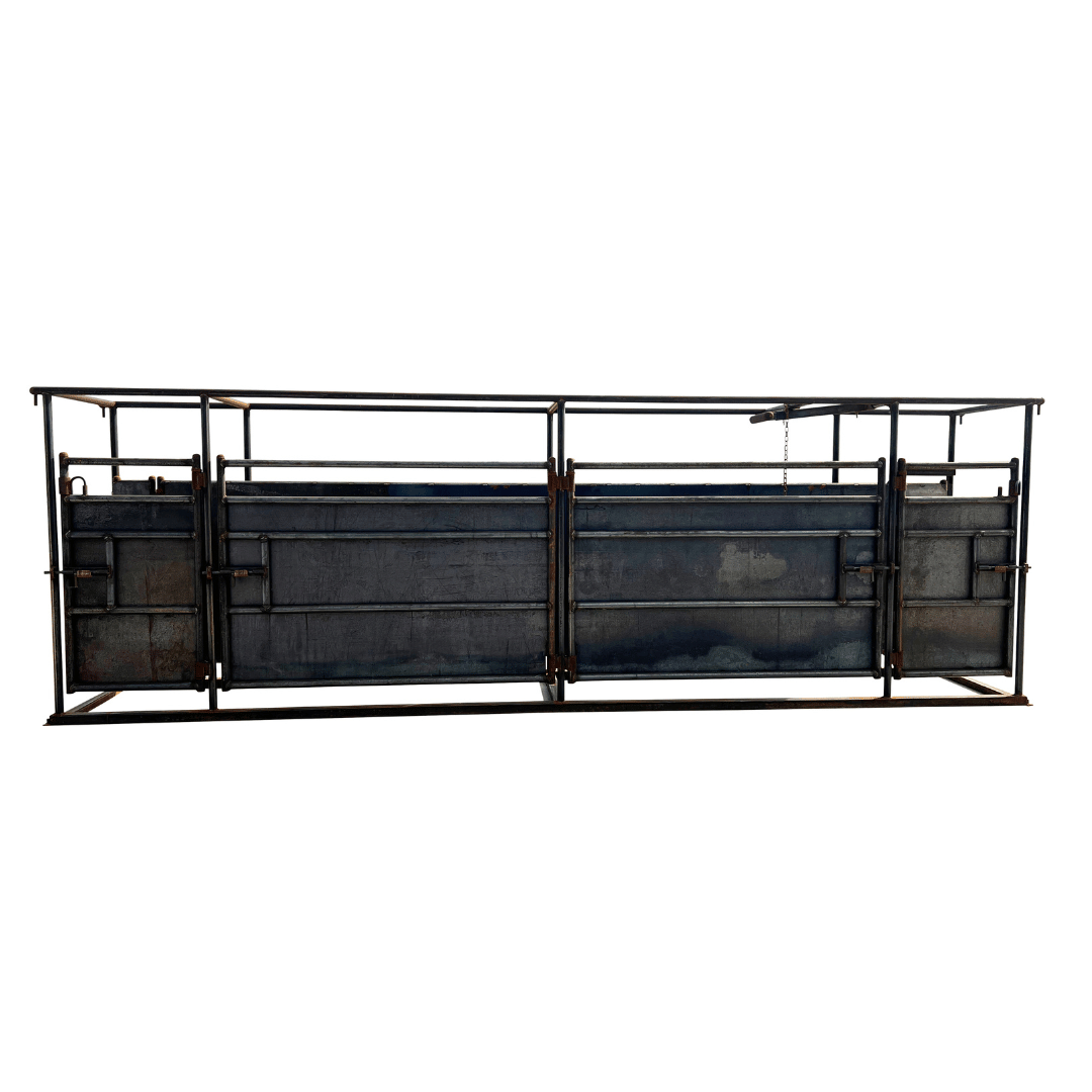 cattle chute livestock handling equipment