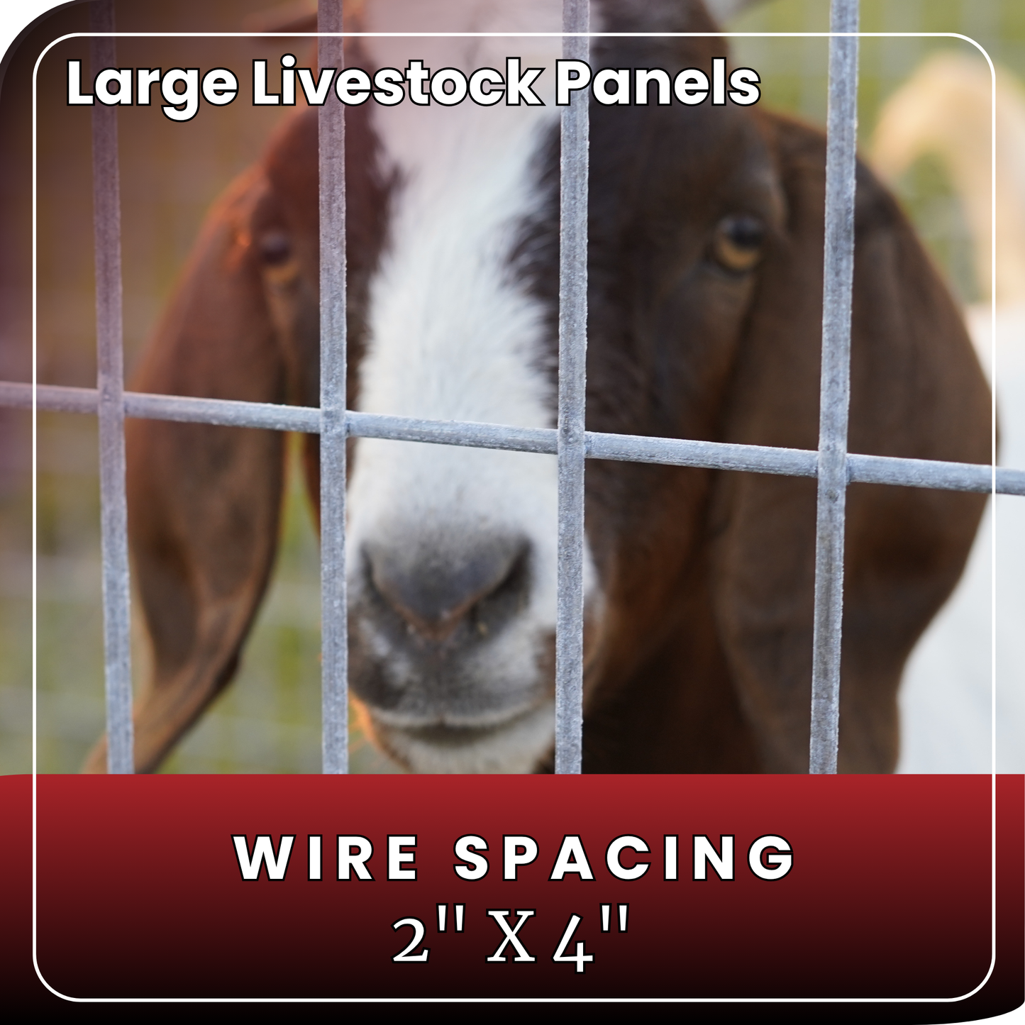 Large Livestock Panel 10'