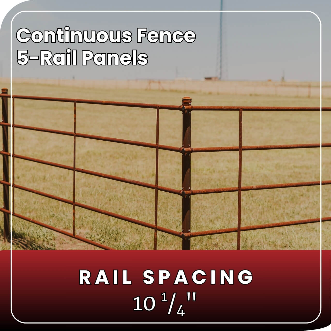 5 Rail Continuous Fence Panels in Pasture