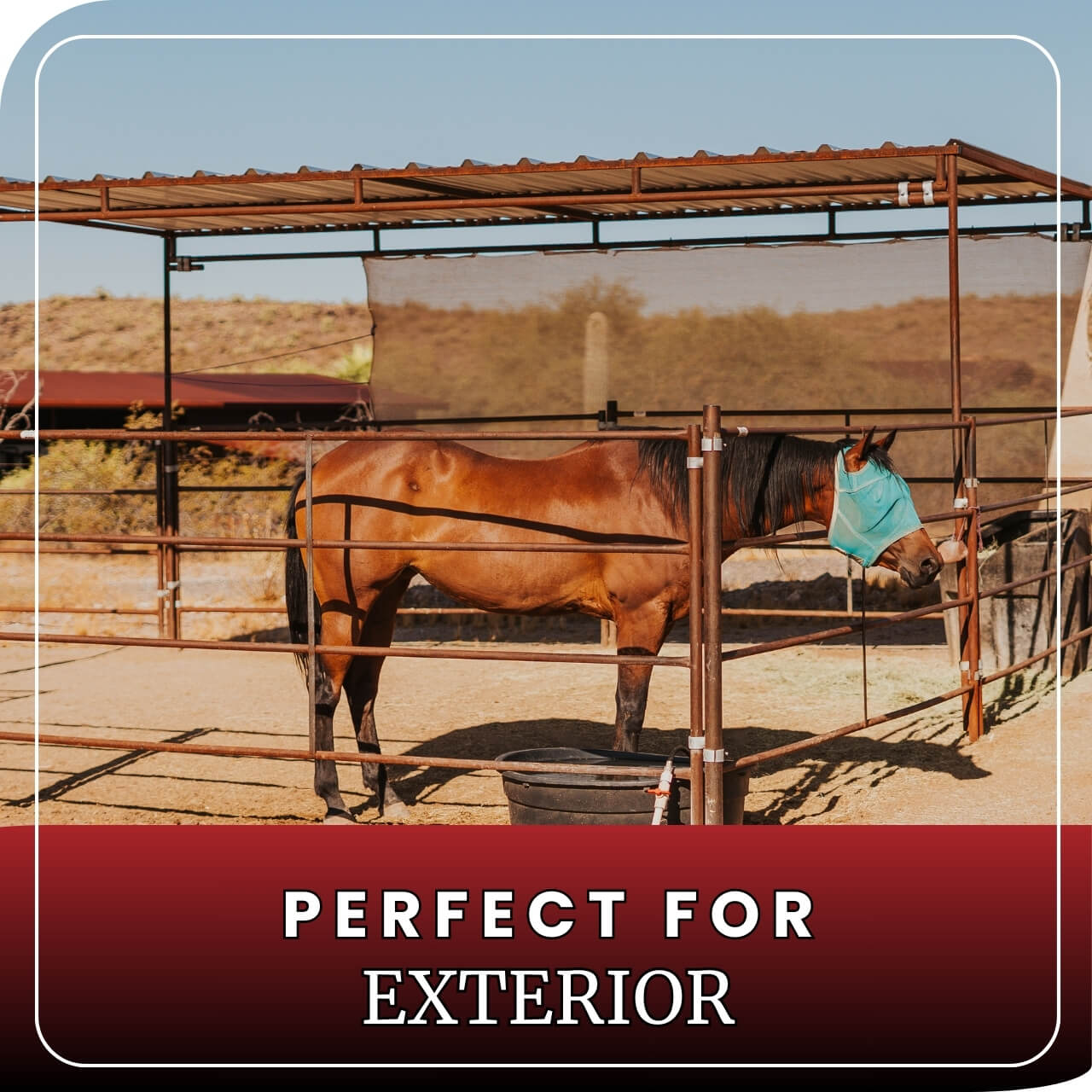Horse stall kits exterior