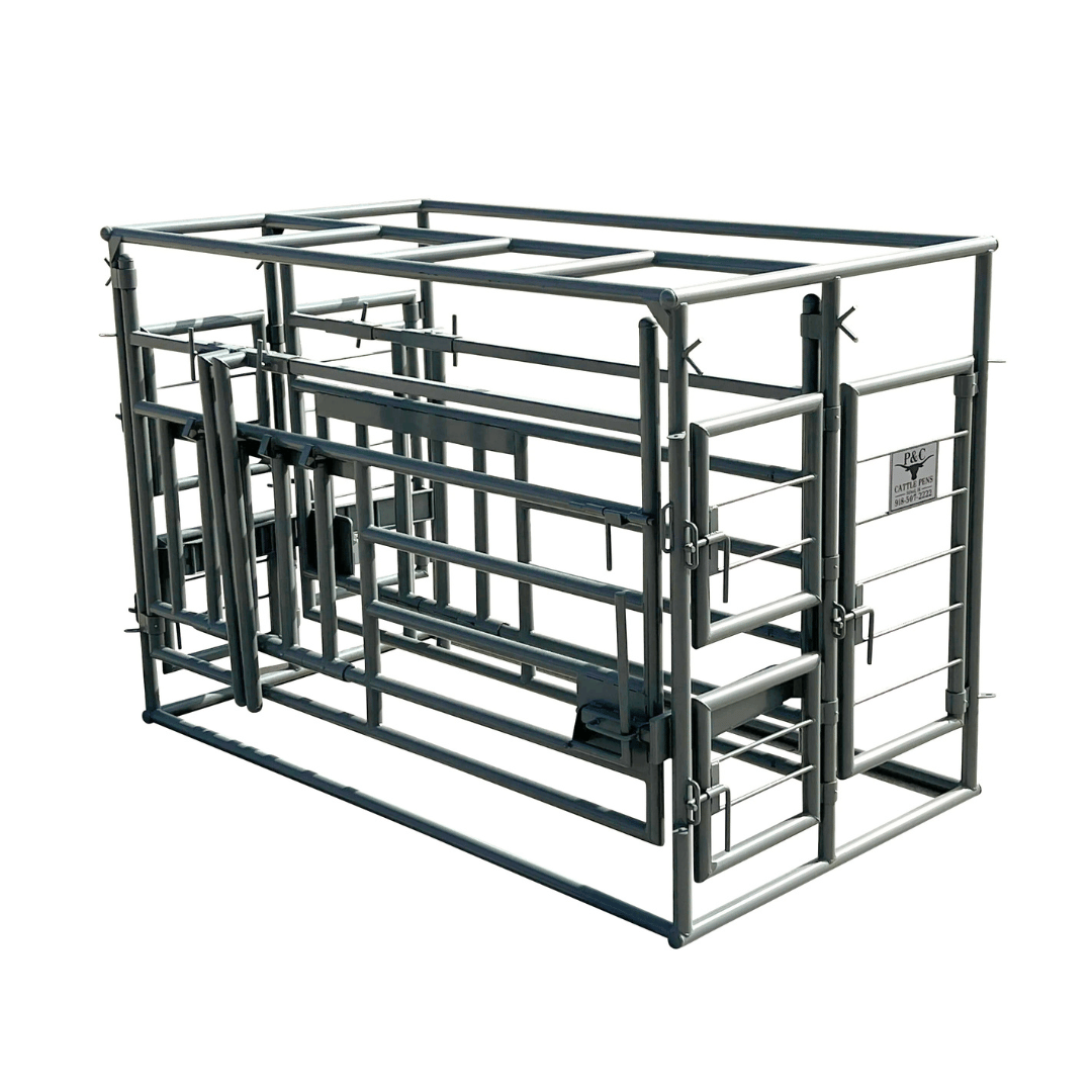 cattle handling chute for livestock management