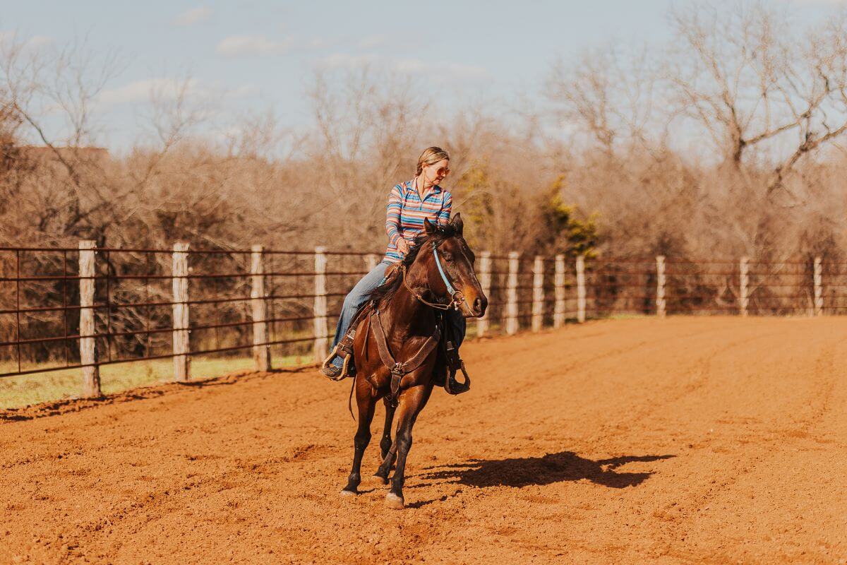 How to Plan a Riding Arena