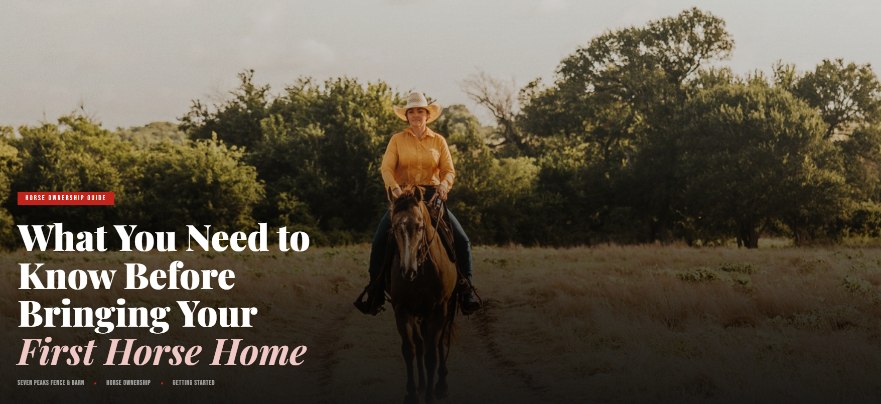 What You Need to Know Before Bringing Your First Horse Home