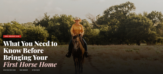 What You Need to Know Before Bringing Your First Horse Home