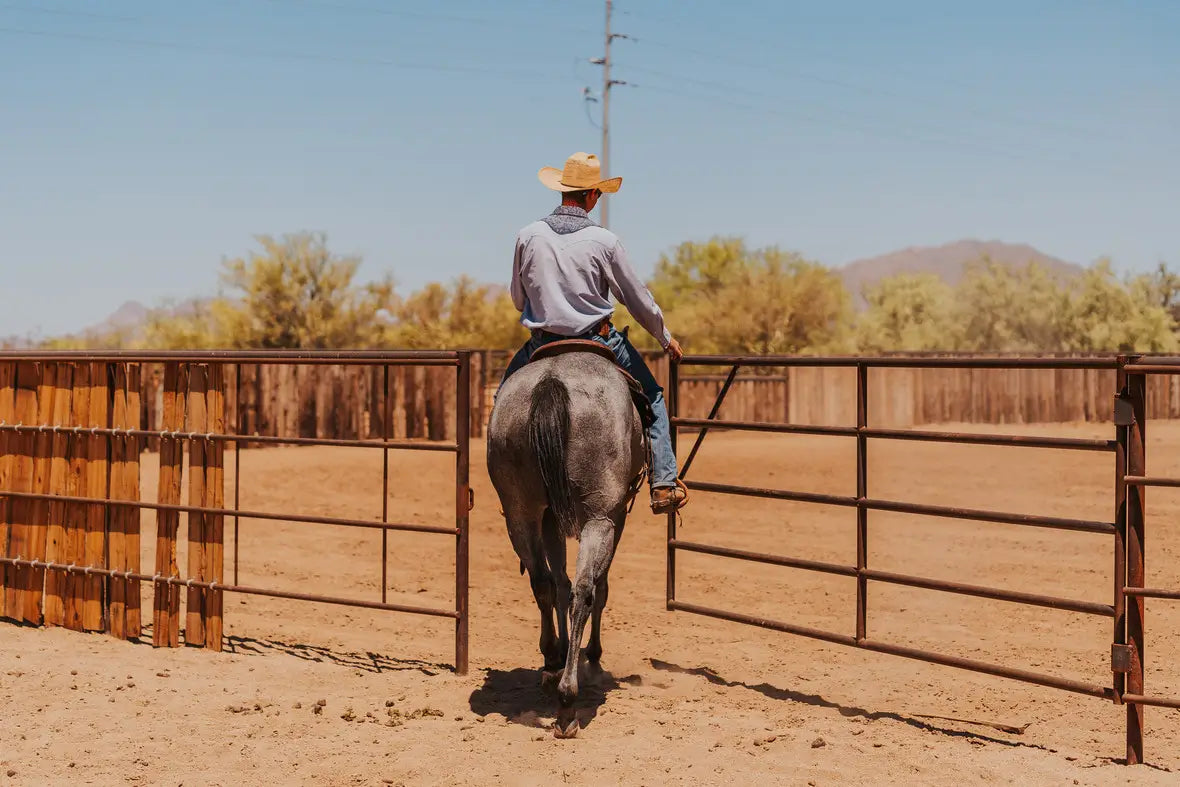 Cowboy riding through swing gate into arena