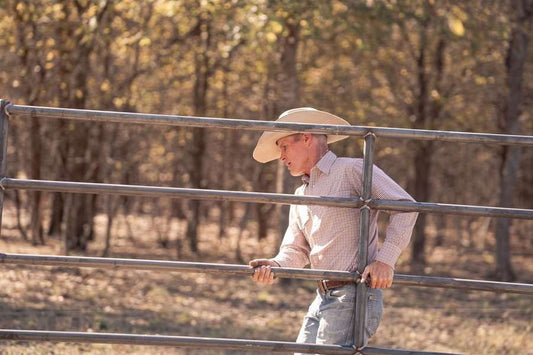 When You Aren't Ready for a Full Barn Yet