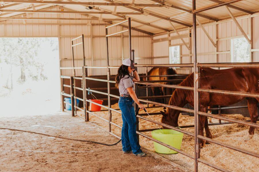 What are Horse Panels Exactly?