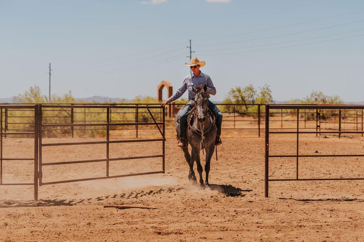 cowboy on horseback opening swing gate in arena