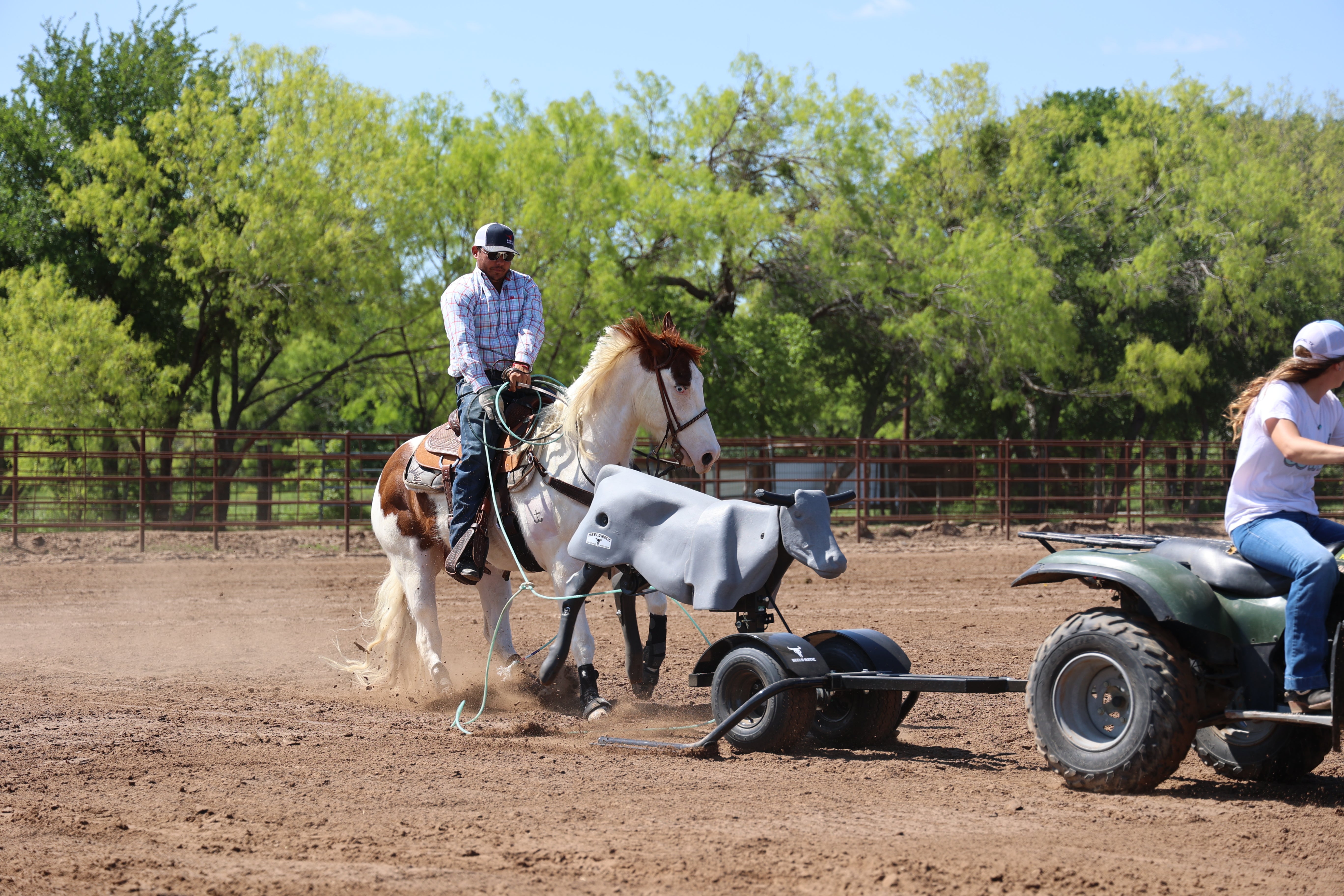 Team Roping Dummies | Roping Dummies for Serious Ropers – Seven Peaks ...