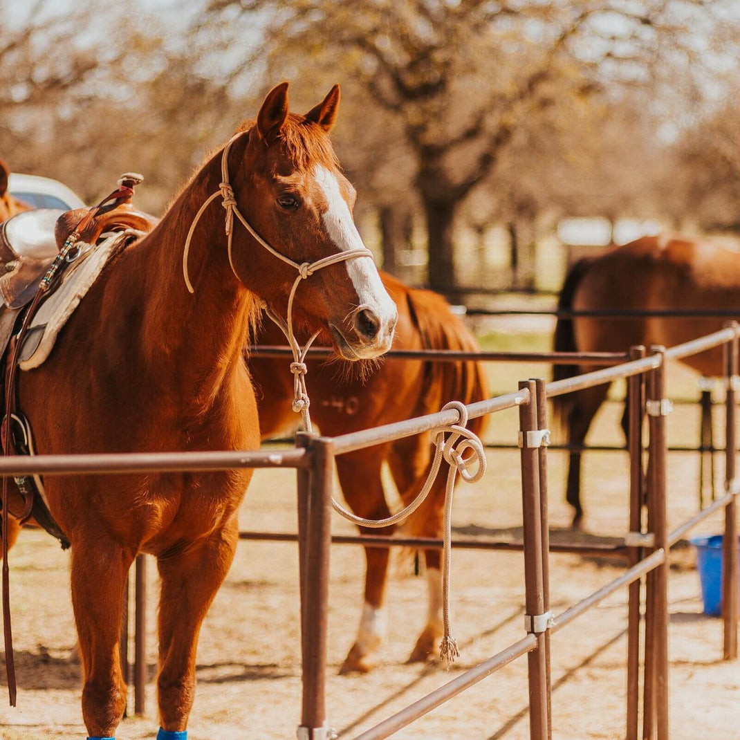Travel Panels – Seven Peaks Fence and Barn