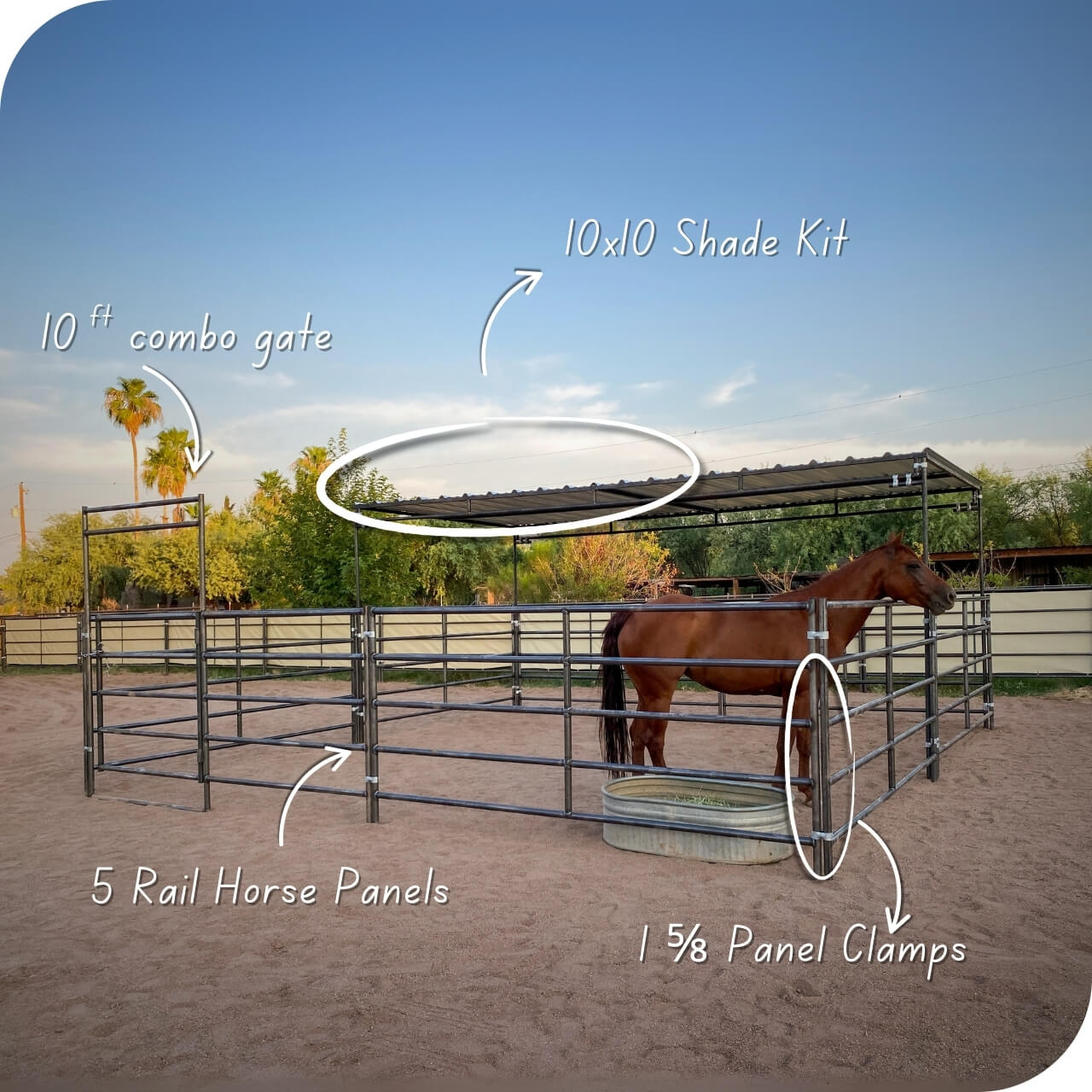 20x20 Metal Stall with Horse on sandy lot