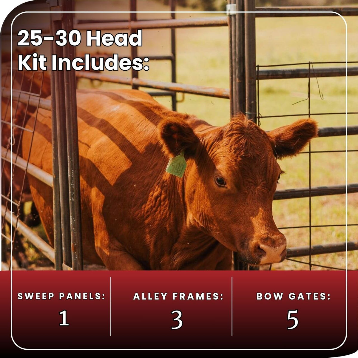 25-30 Head Cattle Working System-Heavy-Duty Corral Pannels – Seven ...