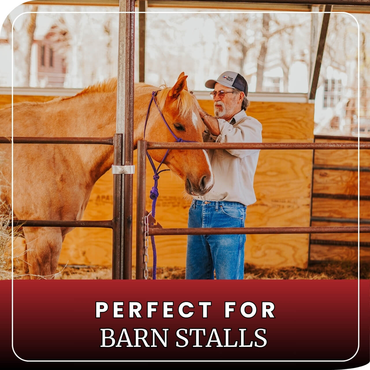 Horse Panel 10' - 4 Rail Standard