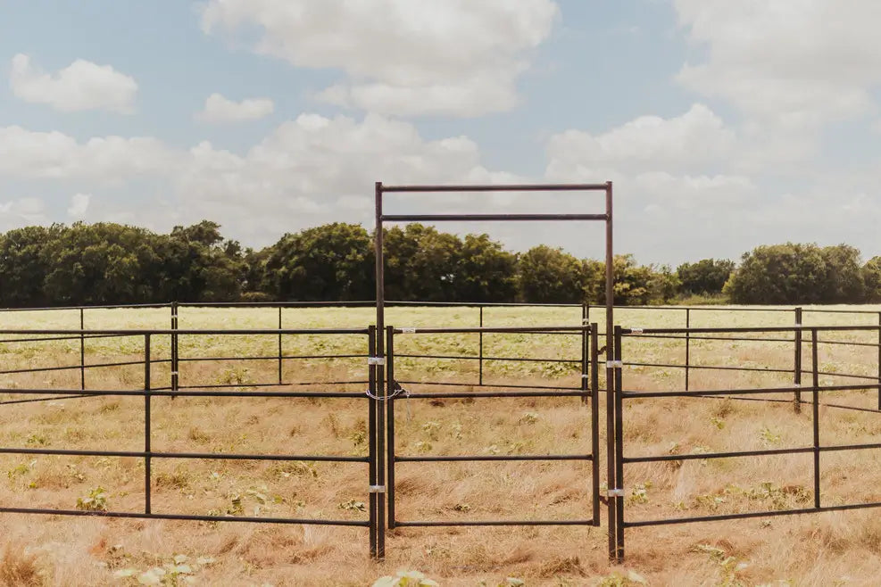 Bow Gate 4' 9" - 4 Rail Standard