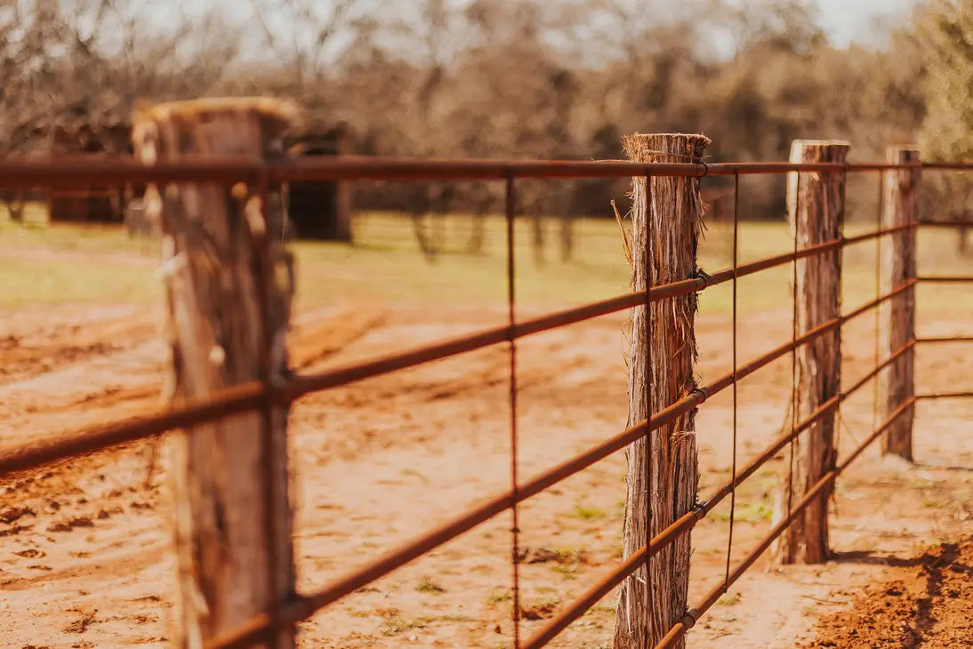 Continuous Fence - 5 Rail