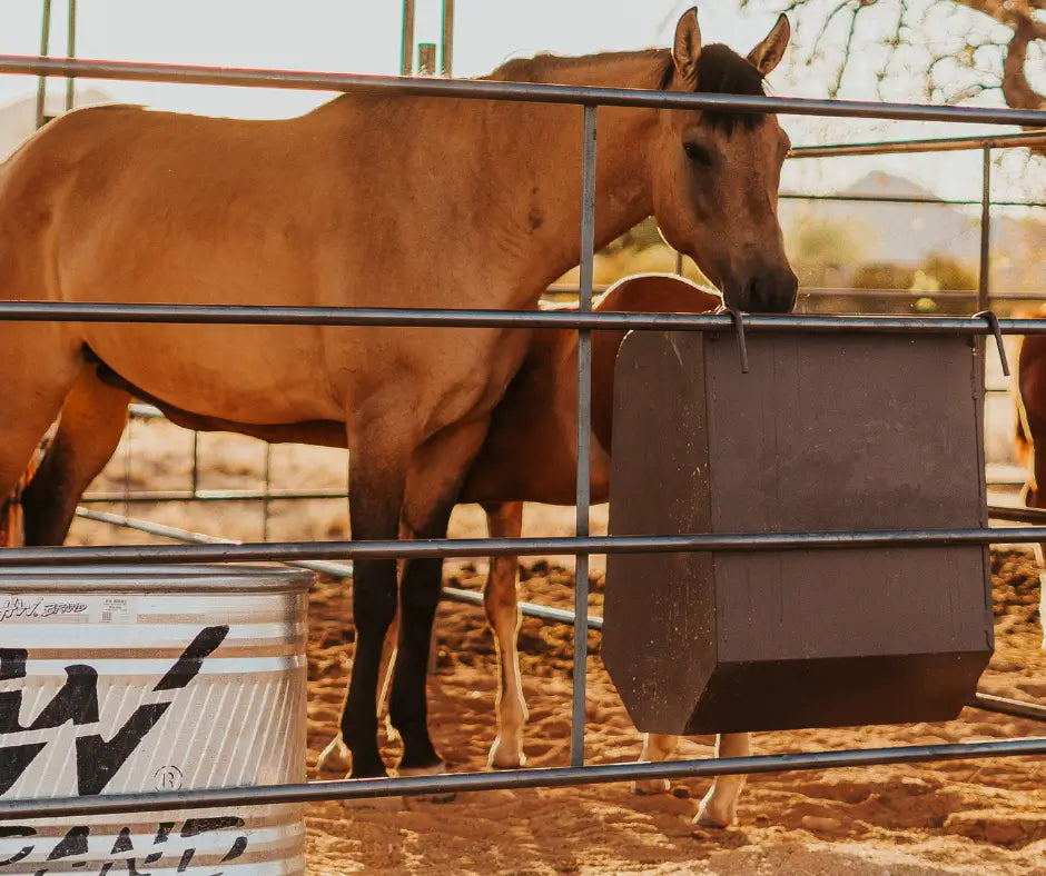 A brown horse eating from a hanging feeder in a stall pen