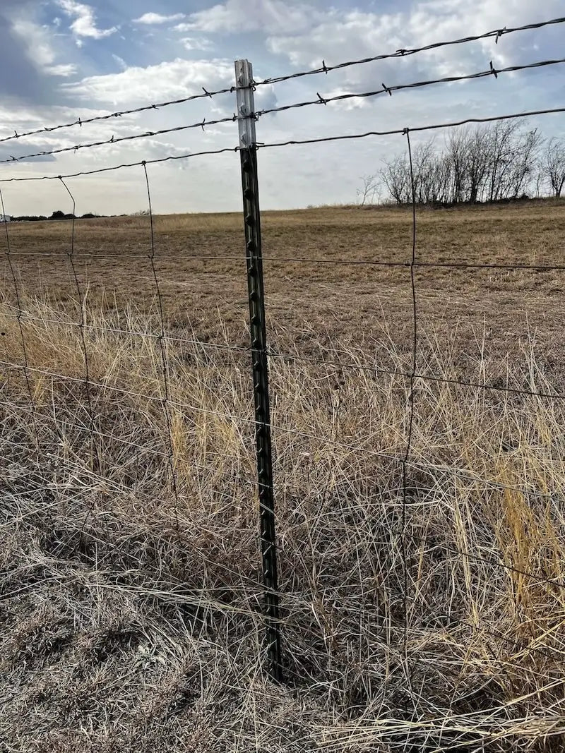 barbed wire fence in dry field