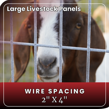 Large Livestock Panel 10'