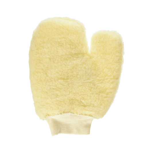 Paint mitt