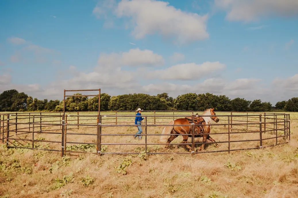 Woman in a blue shirt running a horse in a round pen