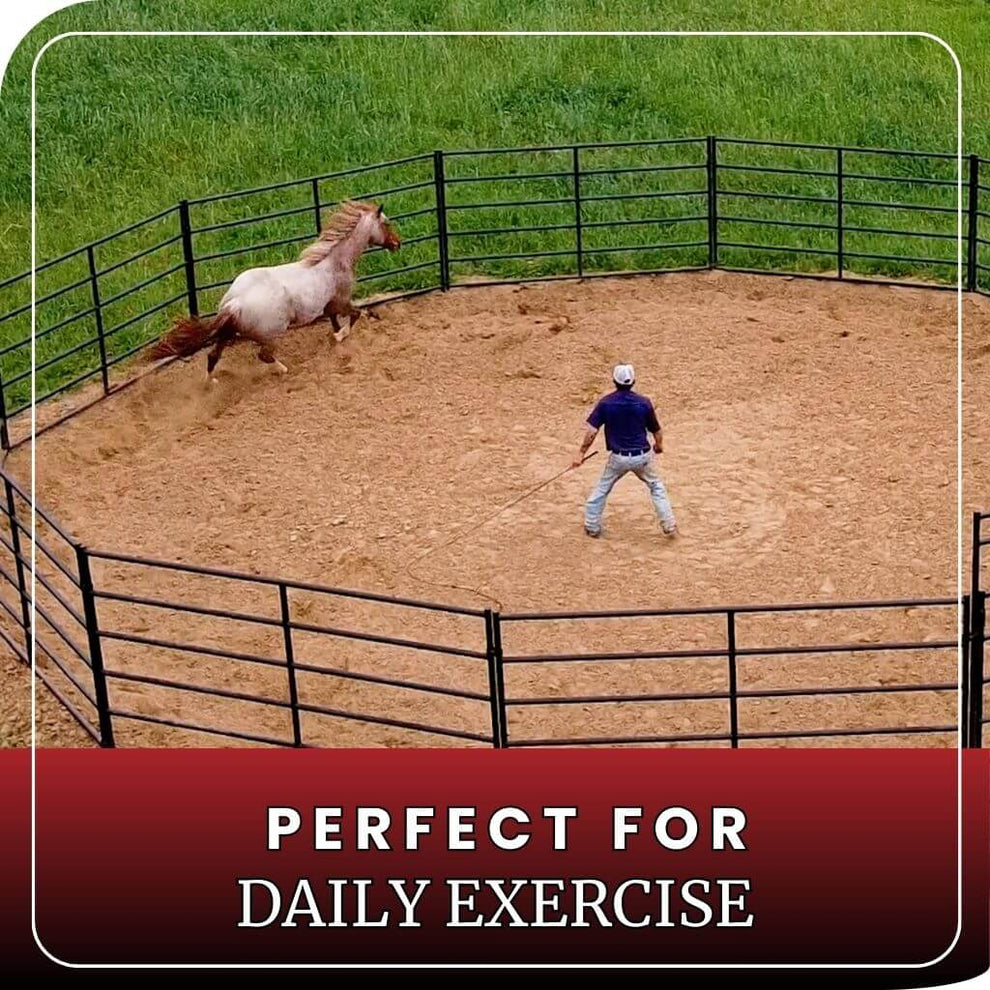 Old Roping Pen 60 Ft Round Pen With 14 Gauge Metal Horse Panels and 4'9