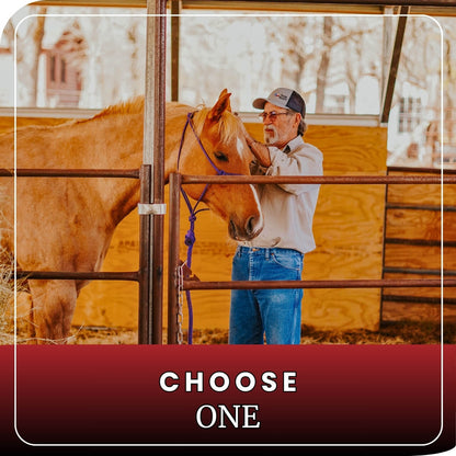 Interior horse stall kits