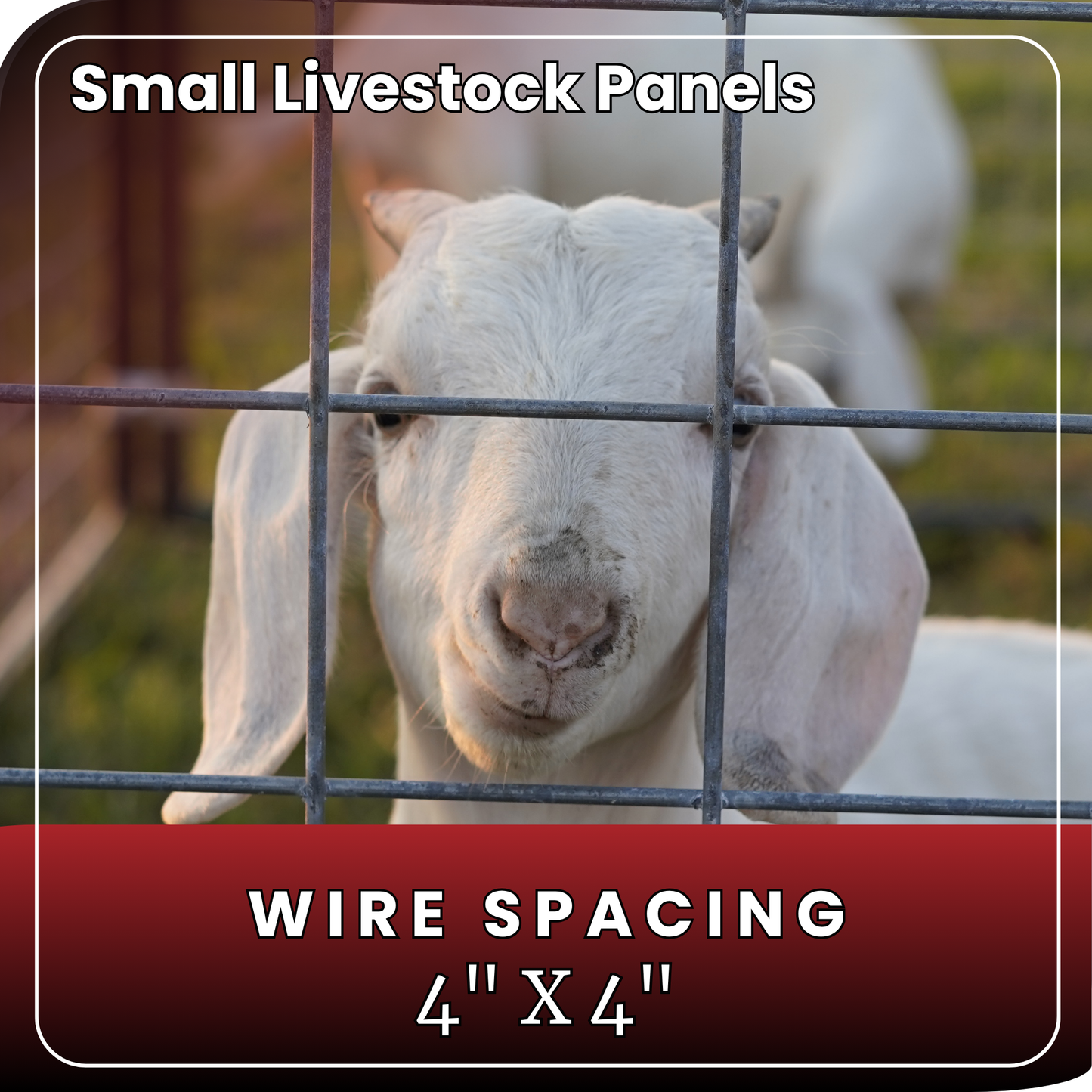 Small Livestock Panel 10'