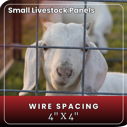 Small Livestock Panel 10'