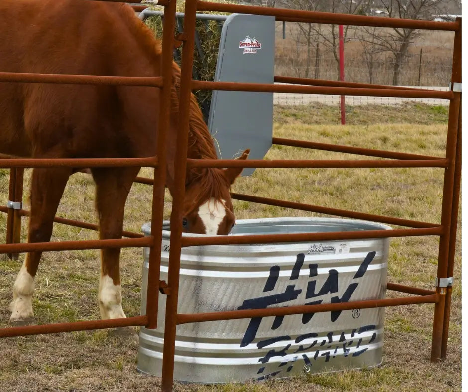 Horse drinking from a stock tank