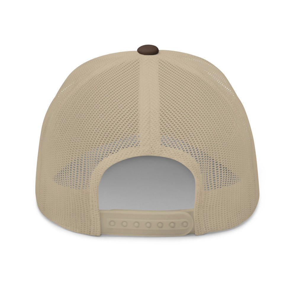 Brown/Khaki Snap Back